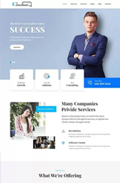 IT Consultant Lite