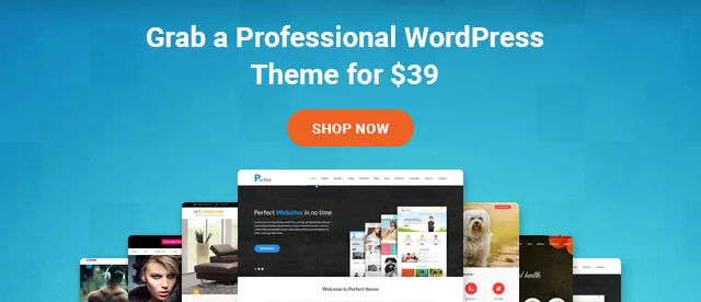 WordPress Themes Bundle