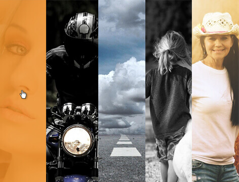 free portfolio WordPress theme