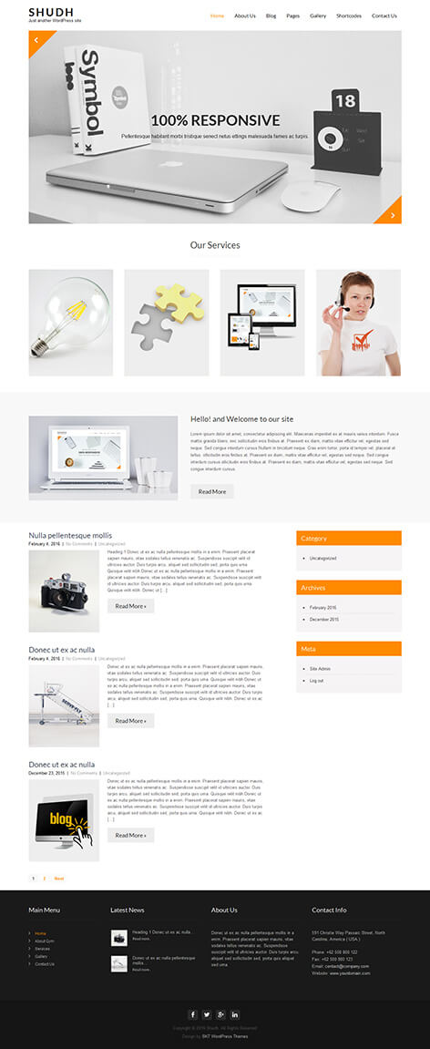 free professional WordPress theme