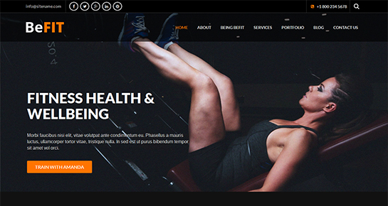 free diet WordPress theme