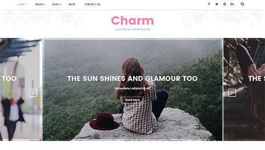 charm -WordPress Theme