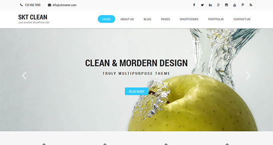 free clean WordPress theme