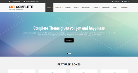 free complete WordPress theme