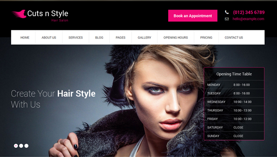 free hair salon WordPress theme