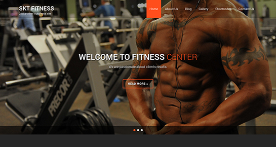 free fitness WordPress theme