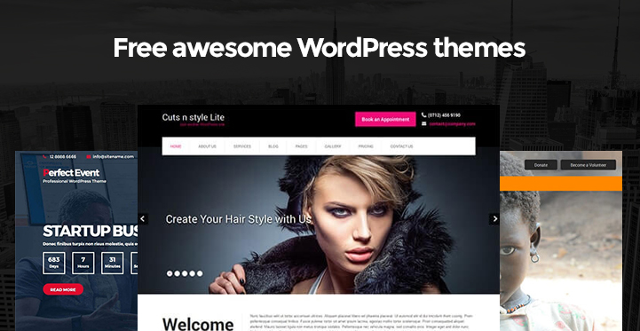 free-awesome-wordpress-themes