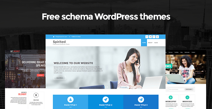 free schema WordPress themes