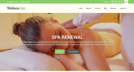 free beauty spa WordPress theme