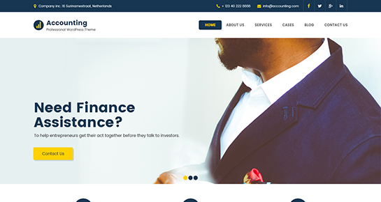 free accounting WordPress theme