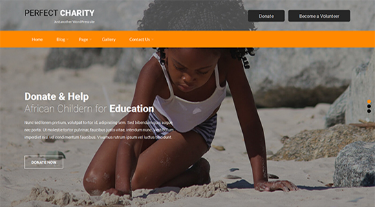 perfect-charity WordPress theme