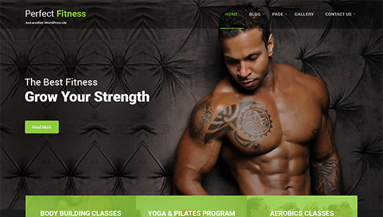 perfect-fitness WordPress Theme