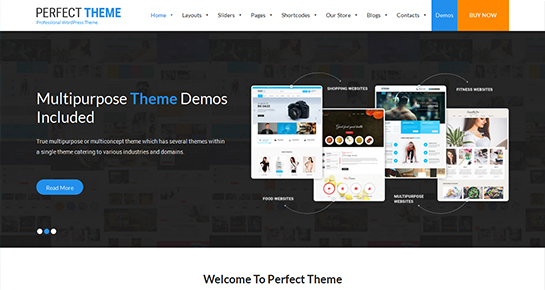 perfect wordpress theme