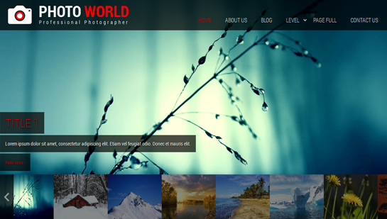 free photography WordPress themes