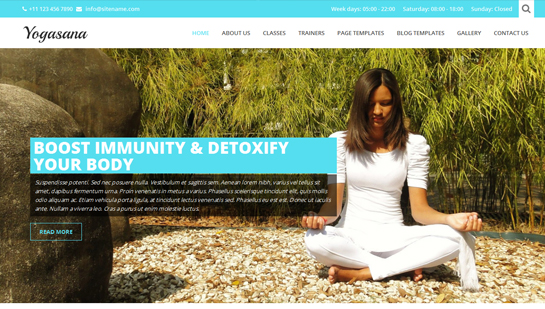 free yoga WordPress theme