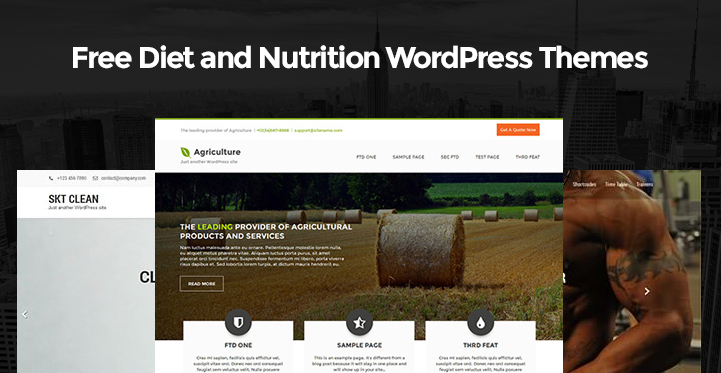 free-diet-nutrition-wordpress-themes