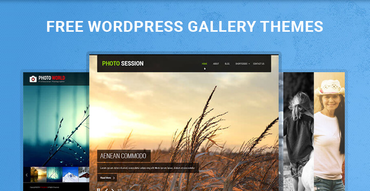 free WordPress gallery themes