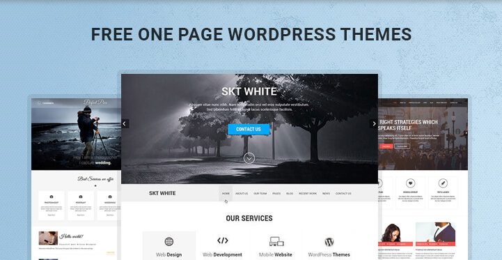 free-one-page-WordPress-themes-banner