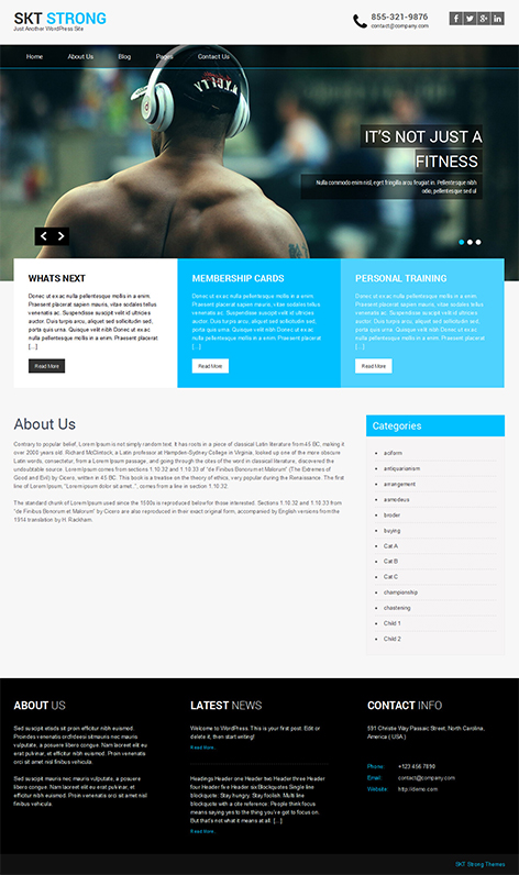 free IT business WordPress theme