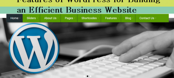 Features of WordPress for Building an Efficient Business Website