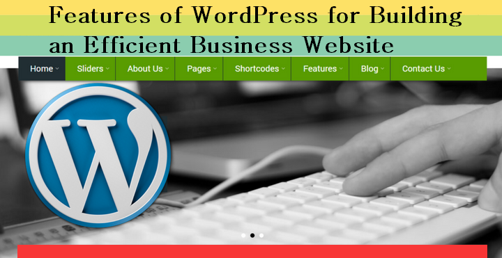 Features of WordPress for Building an Efficient Business Website