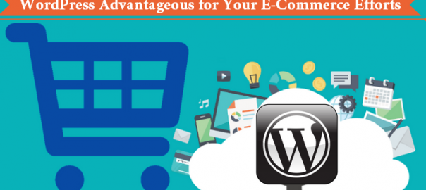 WordPress Advantageous for Your E-Commerce Efforts