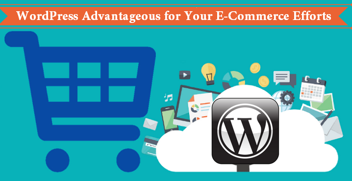 WordPress Advantageous for Your E-Commerce Efforts