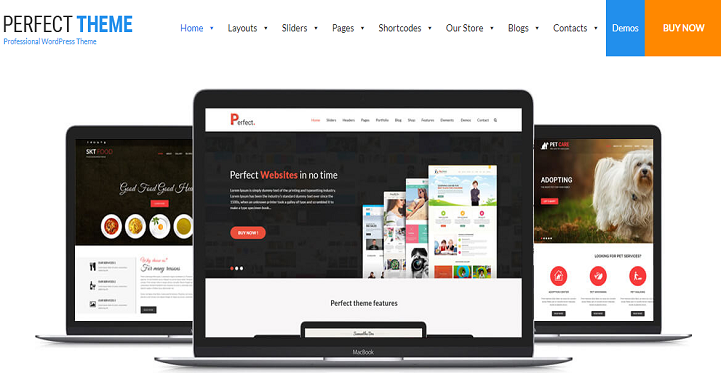 responsive wordpress themes