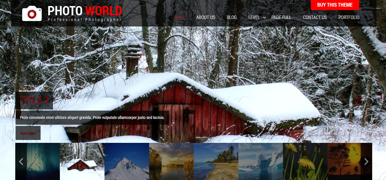 free gallery wordpress theme