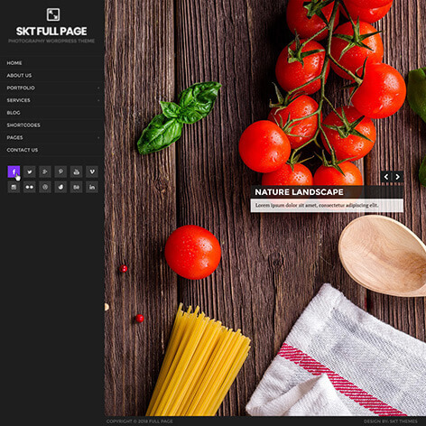 full page WordPress theme