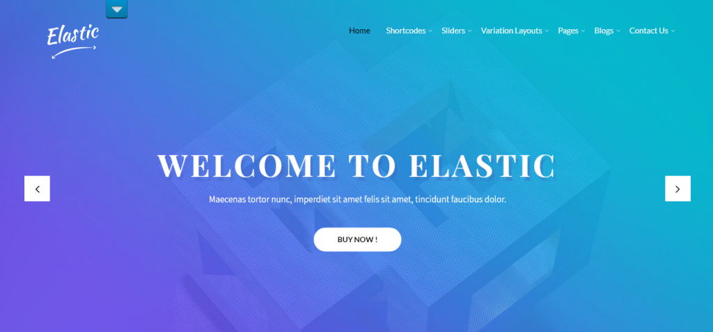 SKT Elastic WordPress Theme