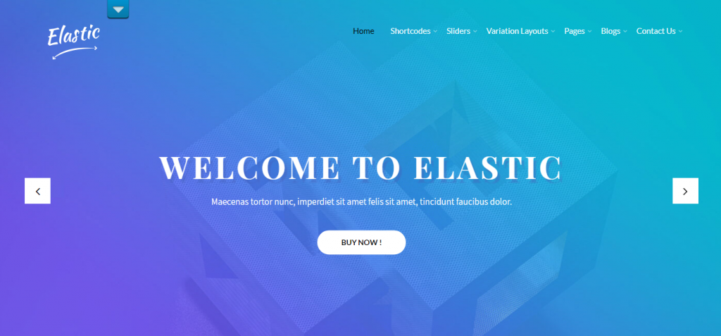 free elegant wordpress theme