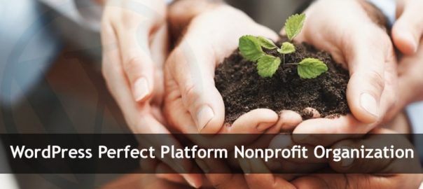 WordPress Is the Perfect Platform for Your Nonprofit Organization