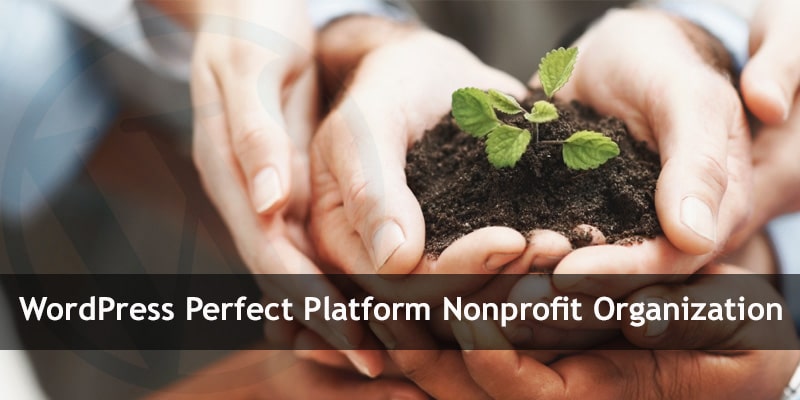 WordPress Is the Perfect Platform for Your Nonprofit Organization