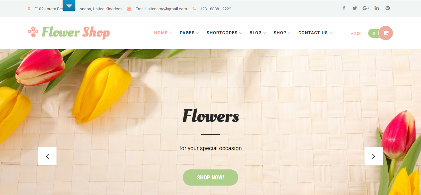 free store wordpress theme