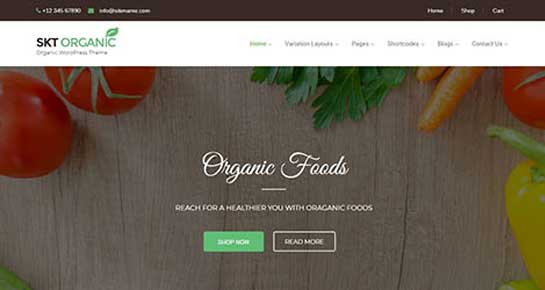 Organic WordPress theme