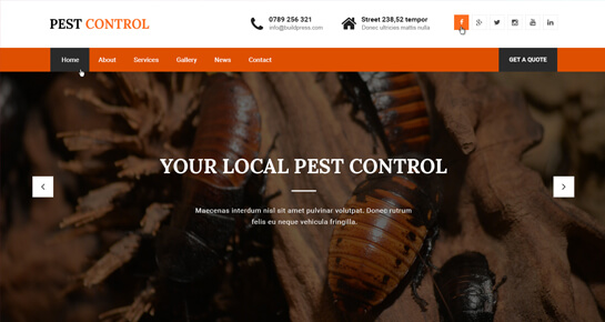 Pest Control WordPress theme