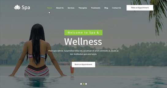 spa WordPress Theme