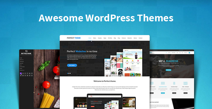 Awesome WordPress Themes