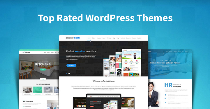 Top Rated WordPress Themes
