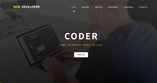 Web  Programmer WordPress Theme