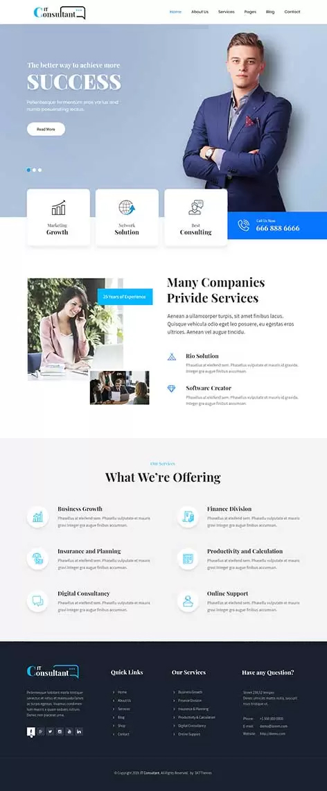 IT Consultant