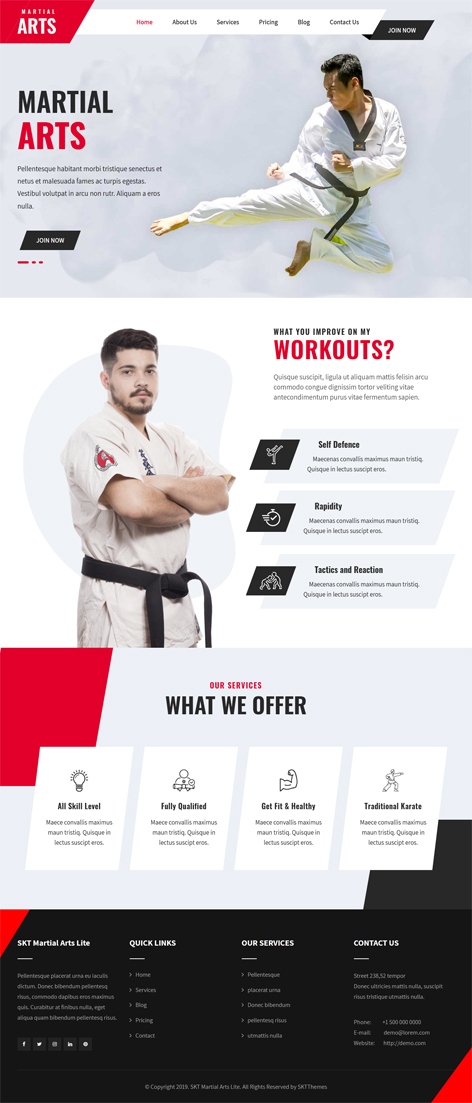 Free karate WordPress theme