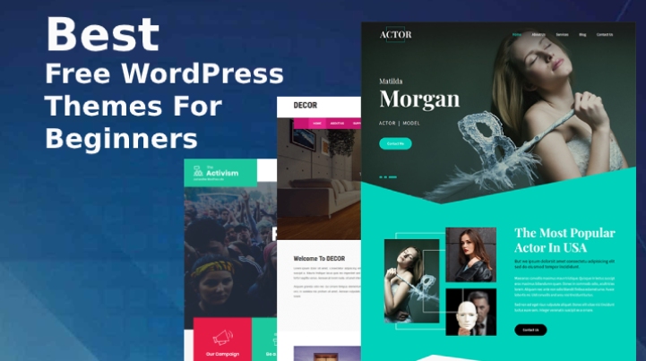 Best Free WordPress Themes For Beginners