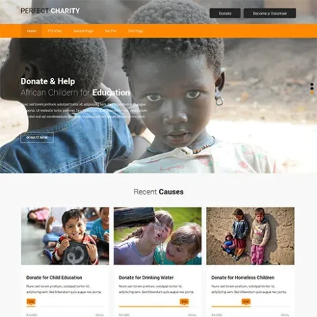free fundraising WordPress theme