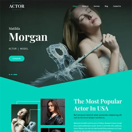 Free Comedian WordPress Theme