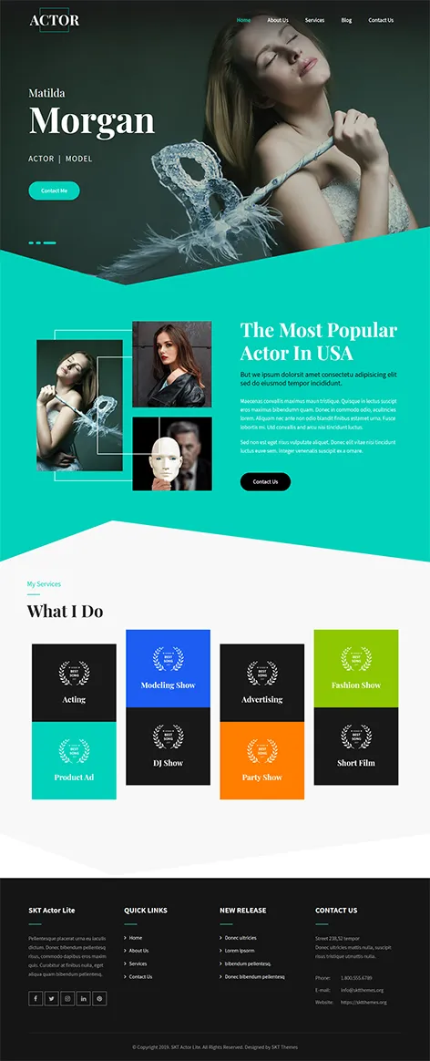 Free Comedian WordPress Theme