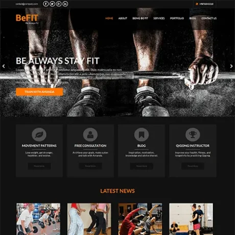 Free Diet WordPress Theme