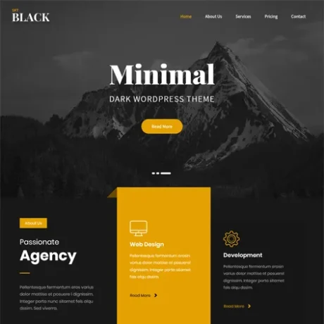 Free Black WordPress Theme