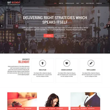 Free One Page WordPress Theme